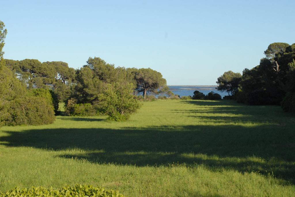 La Bellonette Marseillan  Exterior photo